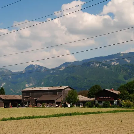 Kopf